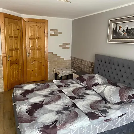 Karpatskyi Maetok Πανσιόν