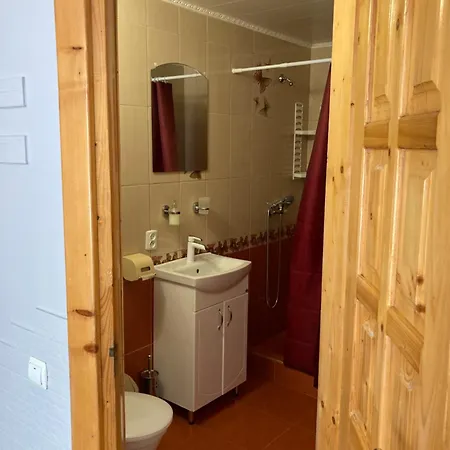 Karpatskyi Maetok Affittacamere *