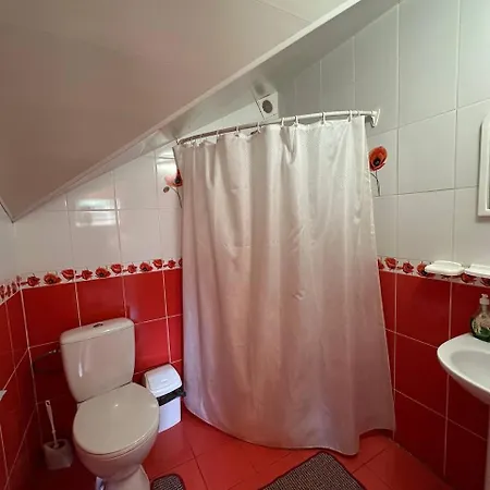 Karpatskyi Maetok Slawske