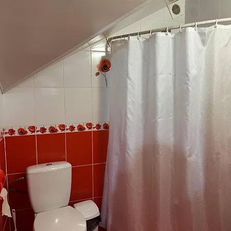 Πανσιόν Karpatskyi Maetok Slavske