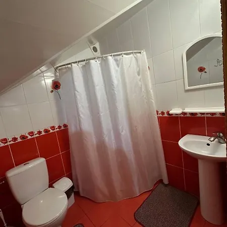 Karpatskyi Maetok Πανσιόν *