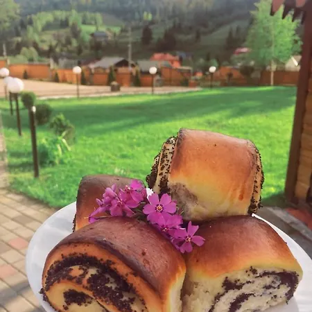 Karpatskyi Maetok Πανσιόν *