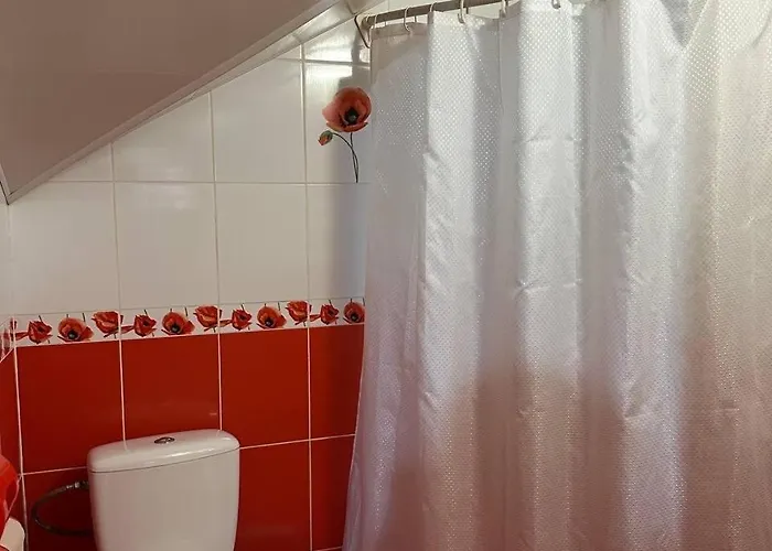 Konukevi Karpatskyi Maetok Slavske