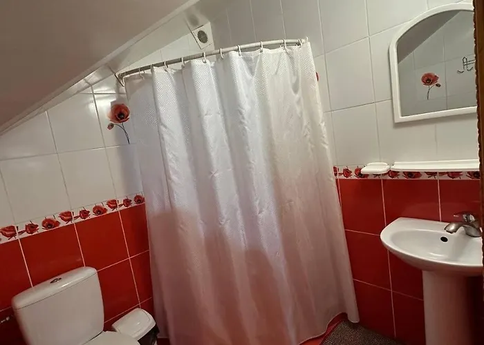 Karpatskyi Maetok Konukevi *